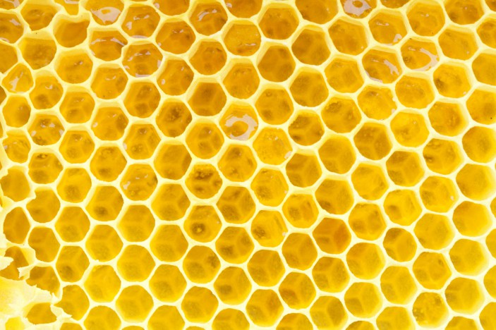 Honeycomb – Integrated Design Lab